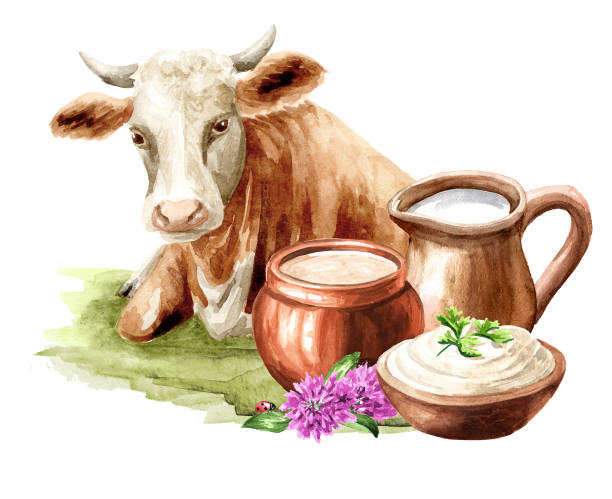 Immunity Booster for Cattle